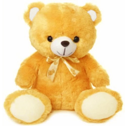 big teddy bear shop in chennai