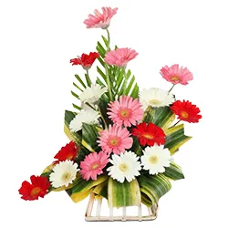 Breathtaking Designer Arrangement of 7 Gerberas with Hypnotic Wishes