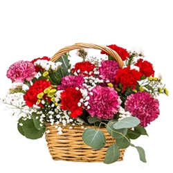 Artistic 30 Mixed Carnations in a Beautiful Bouquet