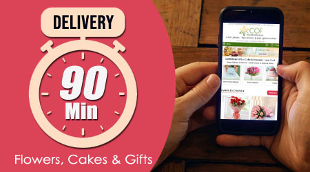 Delivery within 90 Minutes in Chennai