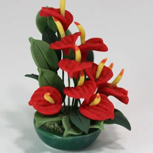 Deliver Anthurium Same Day