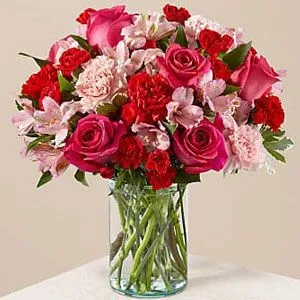 Same Day Carnations Delivery