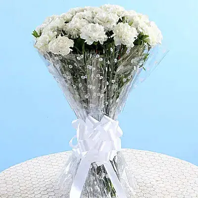 Carnations to Chennai