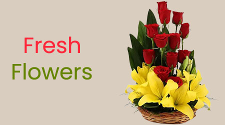 Send Flowers to Mpt Staff Colony Today