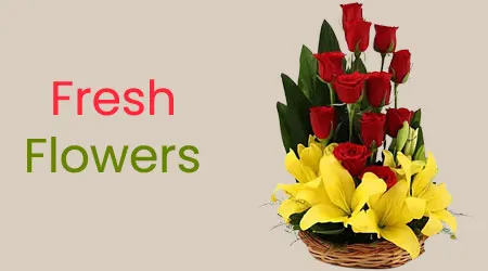 Send Flowers to Pondichery Today