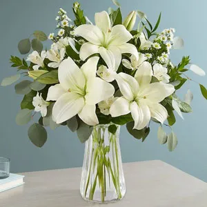 Lily to Chennai