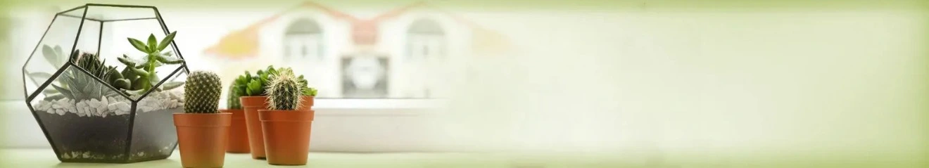 live-plant-banner