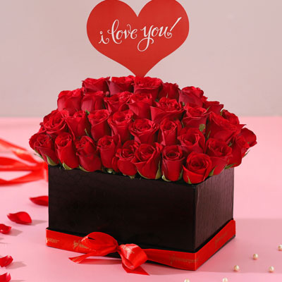 Rose Day Gifts to Chennai