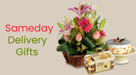 Send Gifts to Thillaiganganagar Same Day Delivery