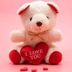 Teddy Day Gifts to Chennai