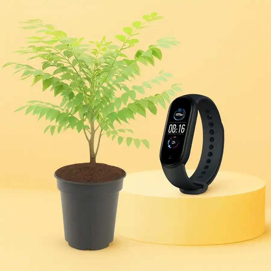 A vibrant Amla Plant in a black pot paired with a stylish Fitness Tracker, perfect for health-conscious gifting.