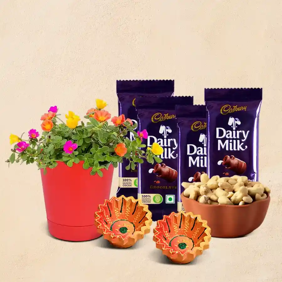 Enchanting Portulaca Plant in red pot with chocolates, cashews, and diyas.
