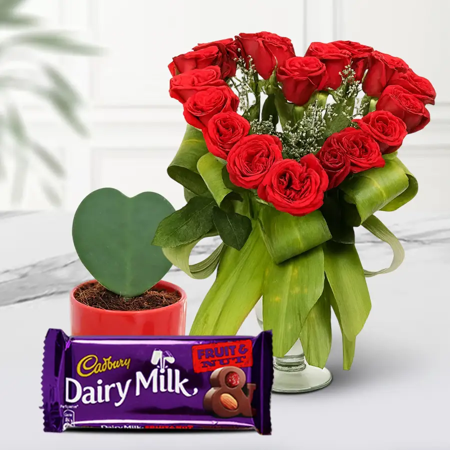 Love-Shape Red Roses, Cadbury Chocolate, and Hoya Heart Plant in a vase.