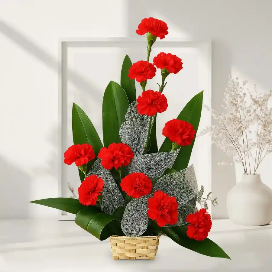 A beautiful bouquet featuring 12 vibrant red carnations, symbolizing love and admiration.
