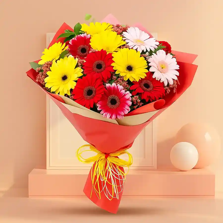 A vibrant bouquet of 12 mixed gerberas, beautifully tied with tissue, ready to spread joy and cheer.