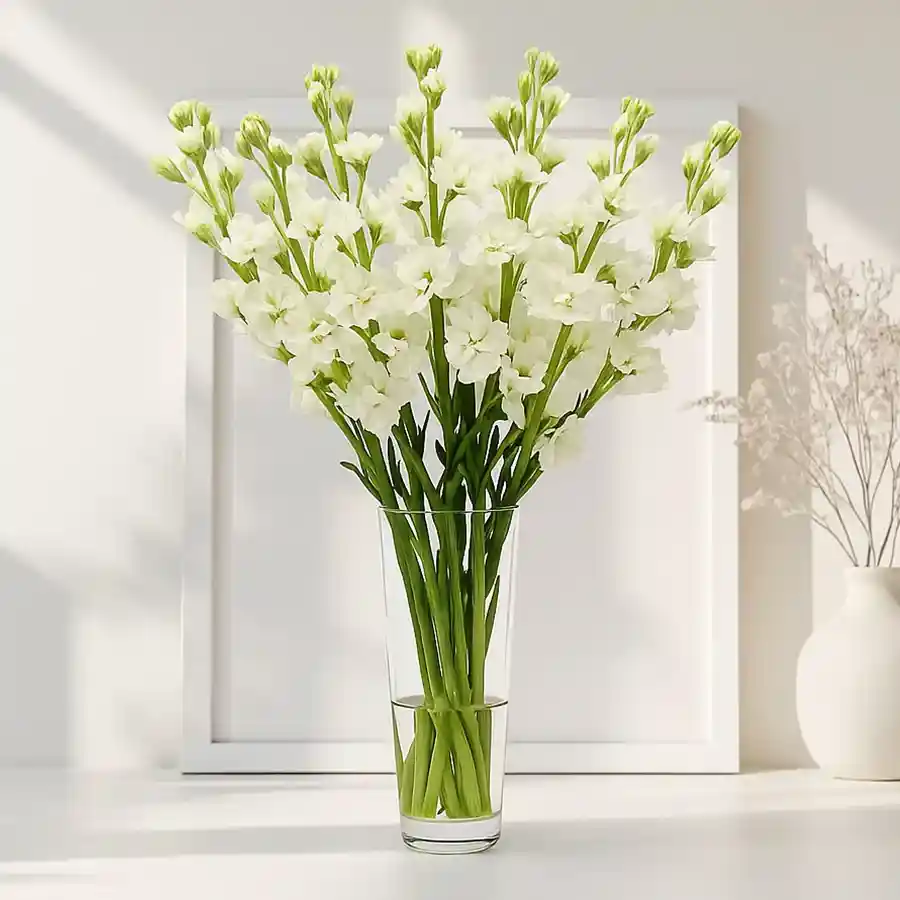 Timeless arrangement of 15 White Rajniganda sticks in a glass vase, exuding elegance and sophistication.