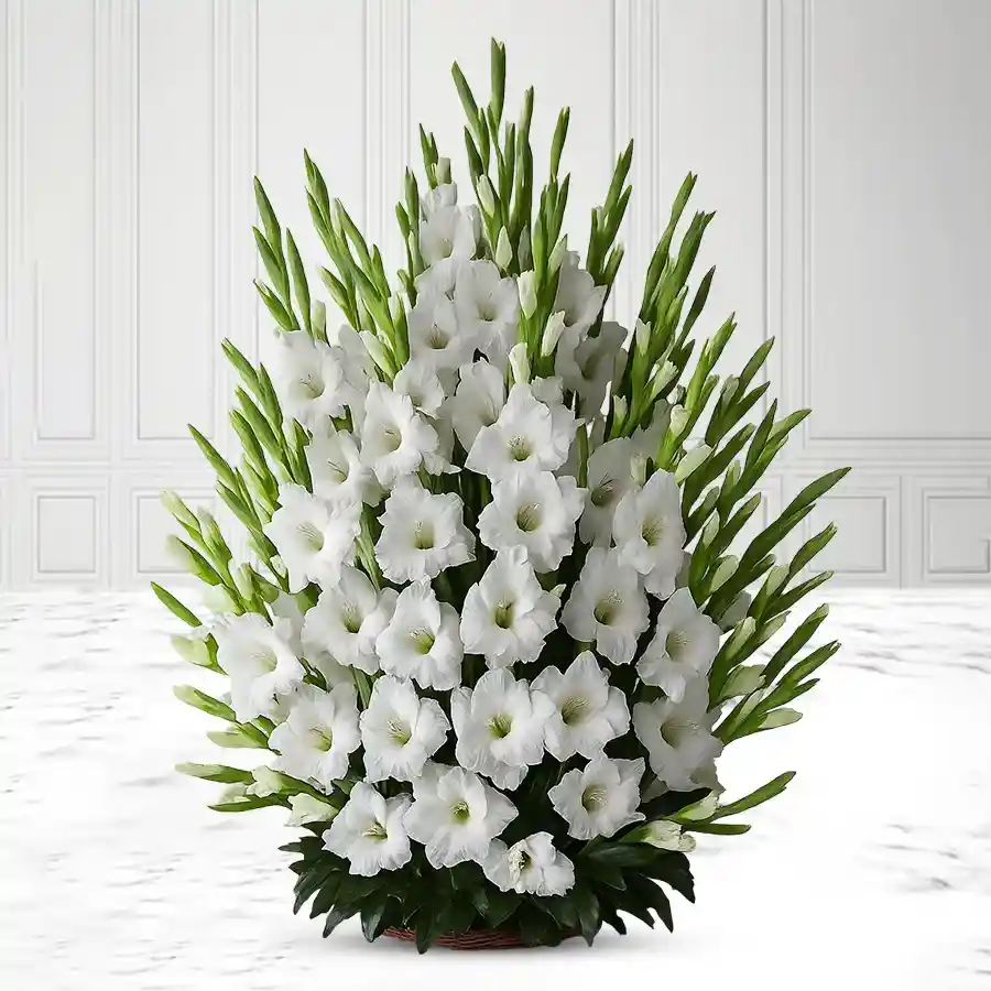 Elegant arrangement of 15 white gladiolus in a stylish glass vase.