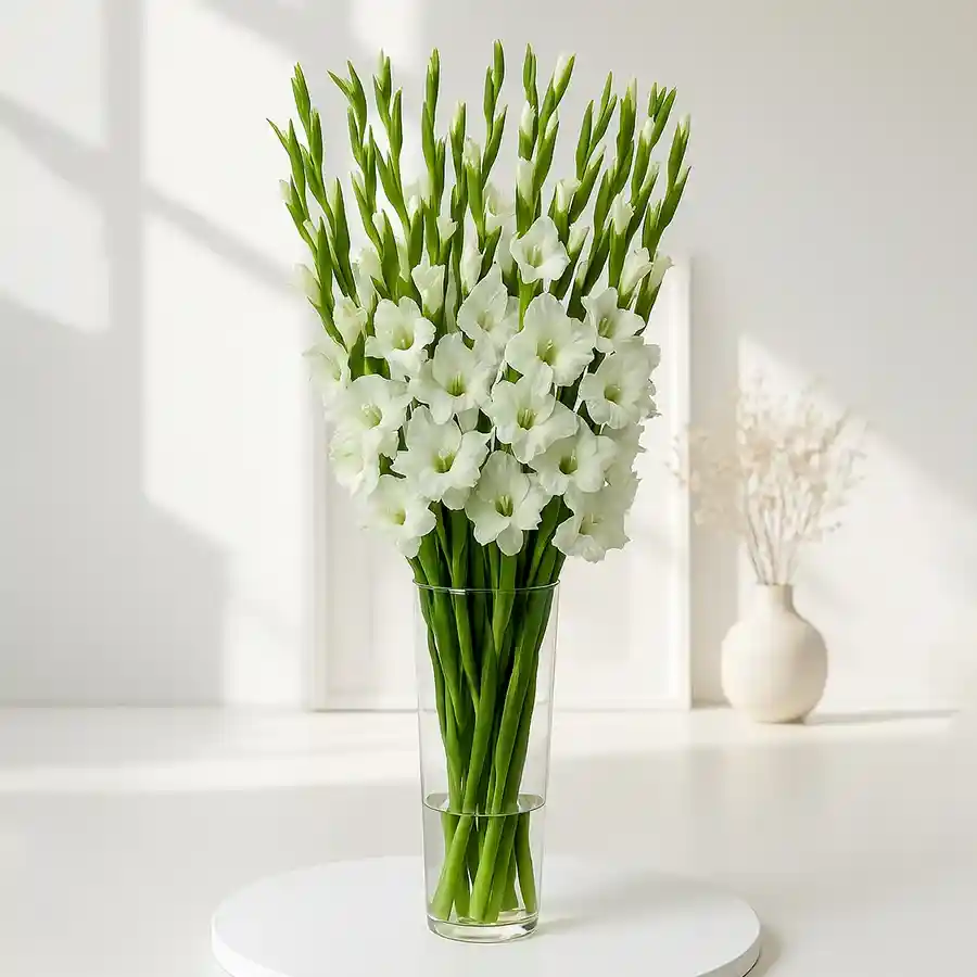 A beautiful arrangement of 15 white gladiolus in a sleek glass vase, perfect for enhancing any space.