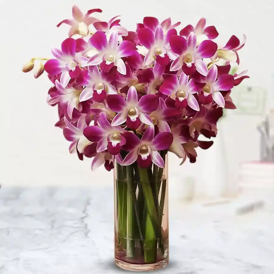 A stunning arrangement of 20 orchids in a glass vase, perfect for gifting and home decor.
