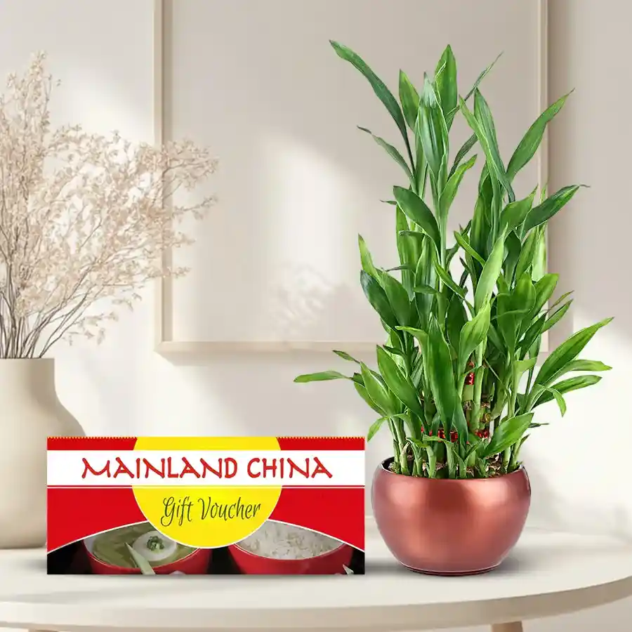 Exclusive combo of a Mainland China E-Voucher worth Rs.1000 and a Lucky Bamboo Plant in a stylish bowl.