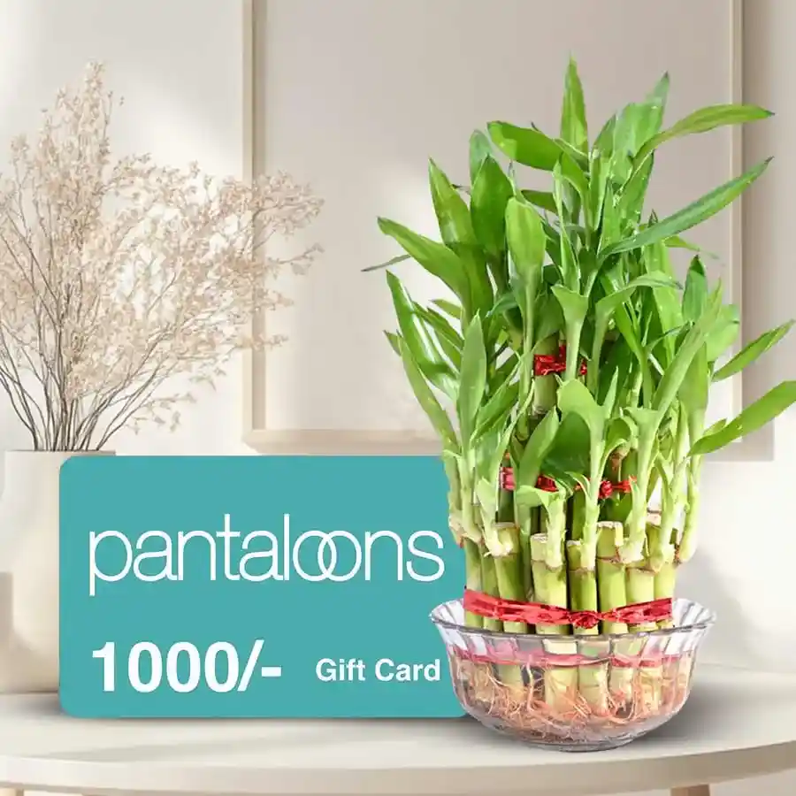 2-tier lucky Bamboo Plant with a Pantaloons Gift E-Voucher
