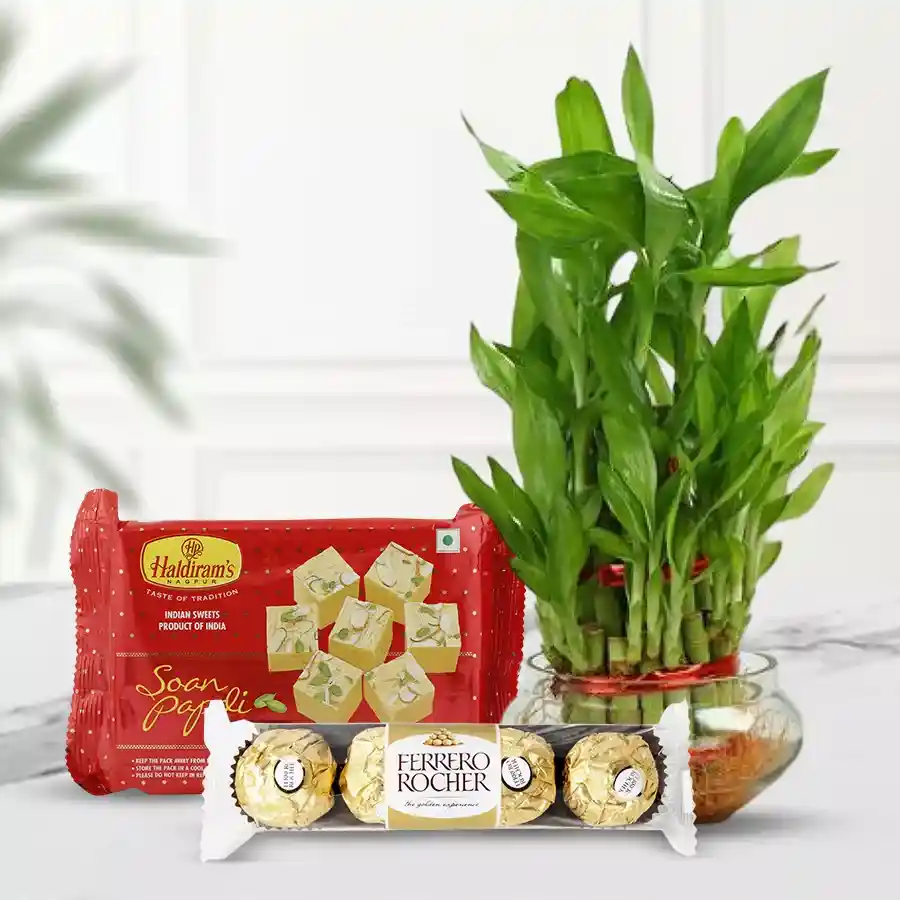 Eco-friendly assortment gift featuring a 2-tier Lucky Bamboo plant, Ferrero Rocher chocolates, and Haldiram’s Soan Papdi arranged beautifully.