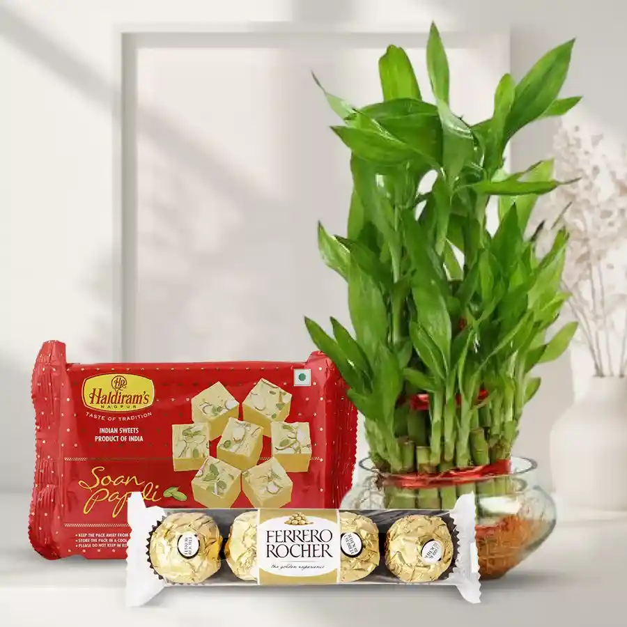 Eco Friendly Assortment Gift featuring a 2-tier Lucky Bamboo plant, Ferrero Rocher chocolates, and Haldiram’s Soan Papdi.