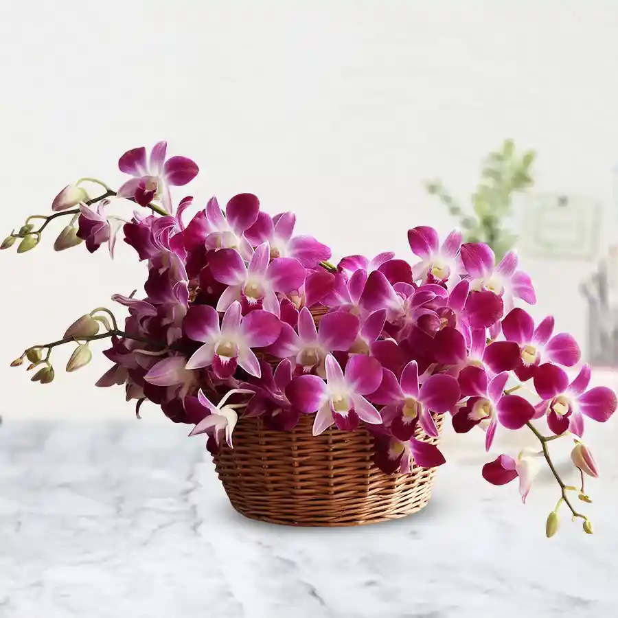 A stunning bouquet of 10 hand-crafted radiant orchids in vibrant colors.