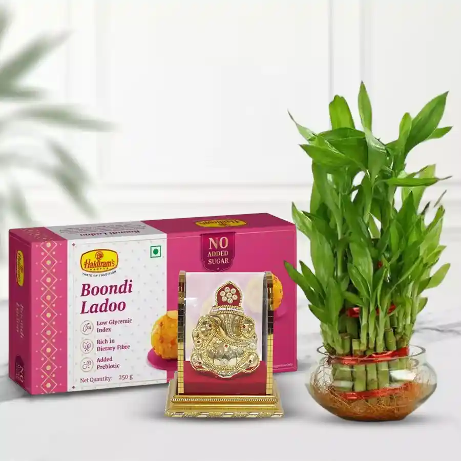 Gift bundle featuring a 2-tier Lucky Bamboo Plant, Vighnesh Ganesh Idol, and a 250g pack of Boondi Ladoo placed together on a decorative surface.
