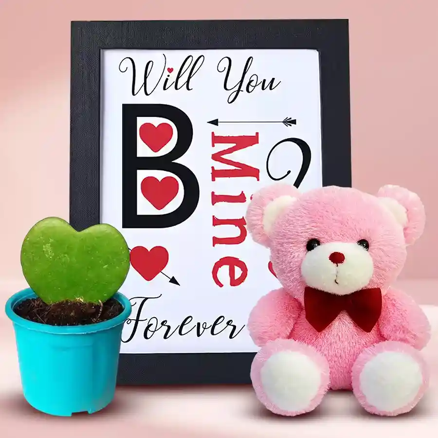Impressive photo frame with a cute teddy bear and Hoya heart plant, designed for gifting special moments.