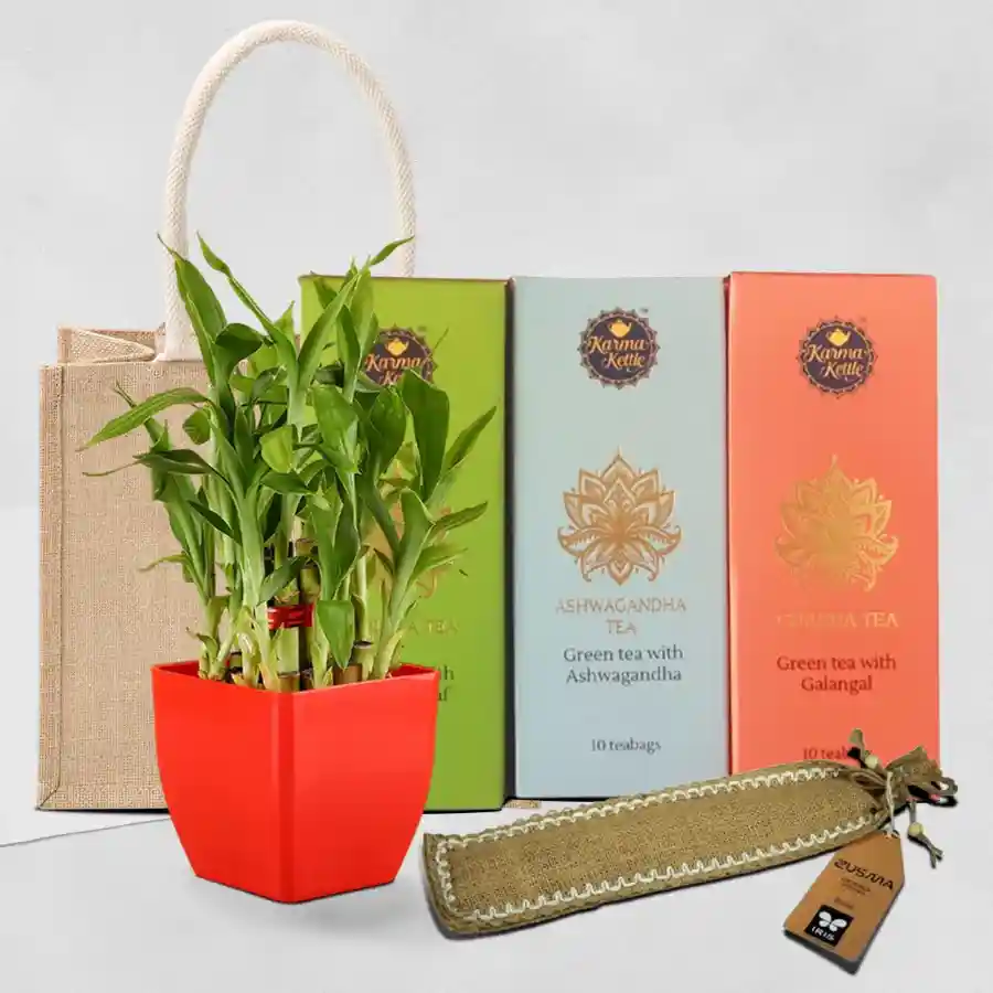 Amazing Healing Gift Combo for Mother